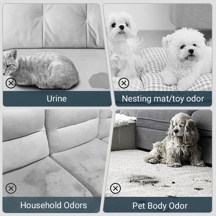 BowLift | Spray for removing pet odor