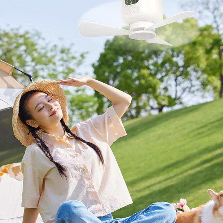 Rechargeable Ceiling Fan with LED Lights | Bowlift