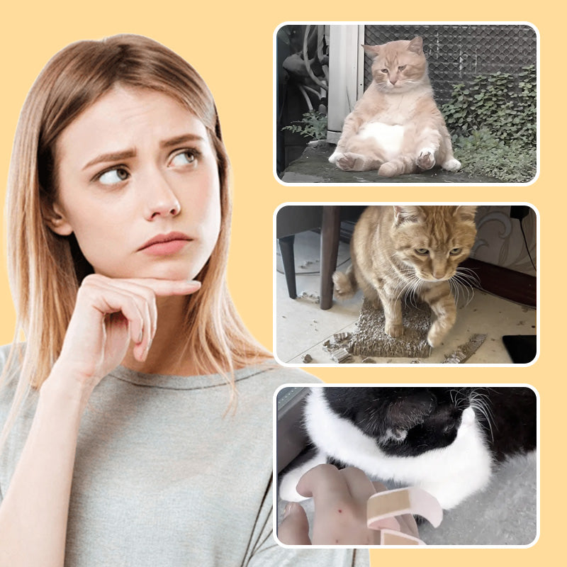 BowLift | Mousetoy for cats and dogs