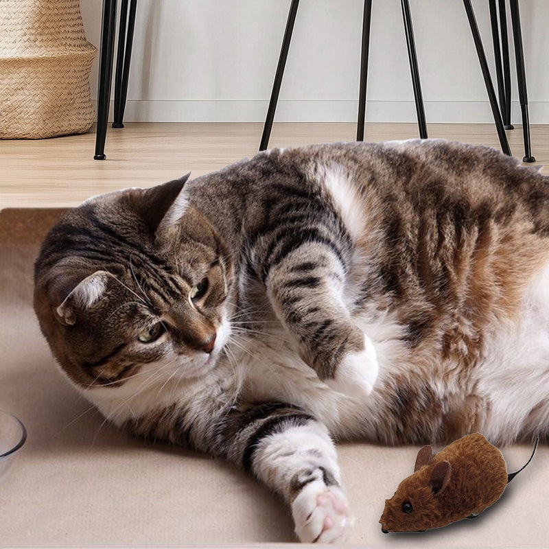 BowLift | Mousetoy for cats and dogs