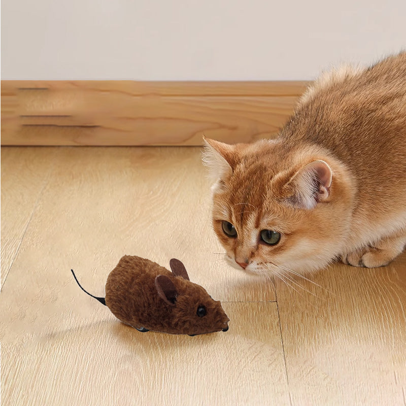 BowLift | Mousetoy for cats and dogs