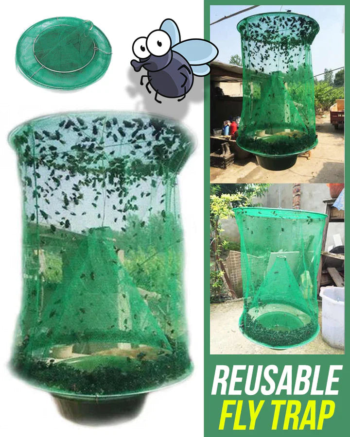 Fly trap – catch up to 40,000 flies | Bowlift