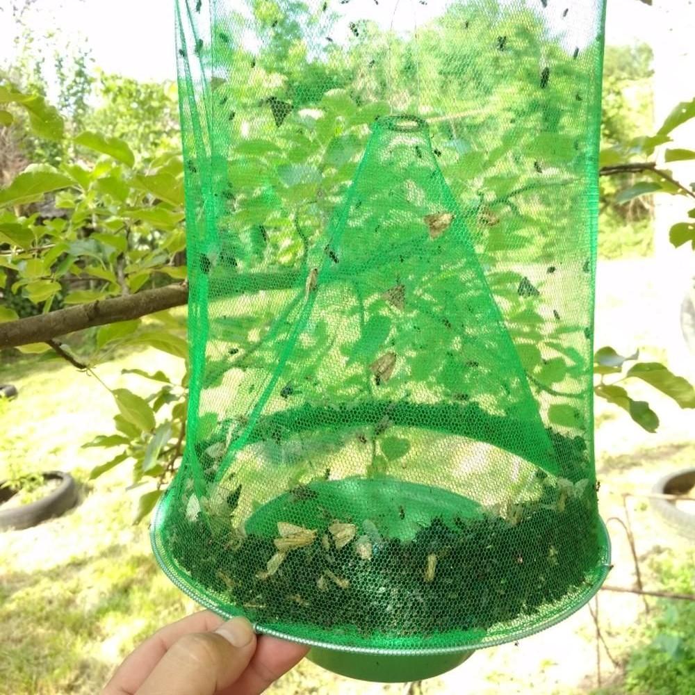 Fly trap – catch up to 40,000 flies | Bowlift
