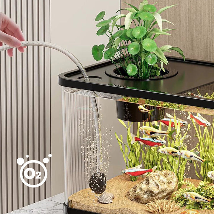 BowLift | Small home aquarium