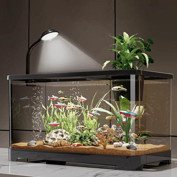 BowLift | Small home aquarium