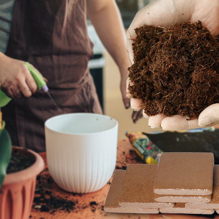 BowLift | The Best Gift for Gardening - Organic Coconut Fiber for Plants