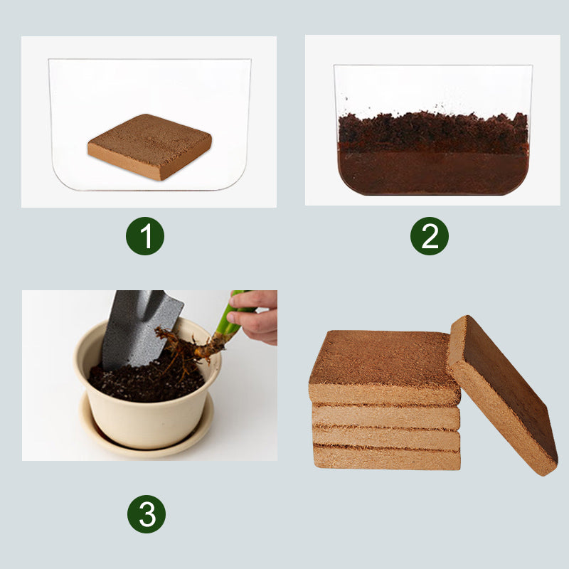BowLift | The Best Gift for Gardening - Organic Coconut Fiber for Plants