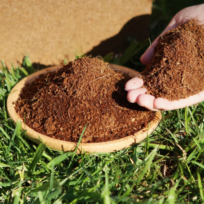 BowLift | The Best Gift for Gardening - Organic Coconut Fiber for Plants