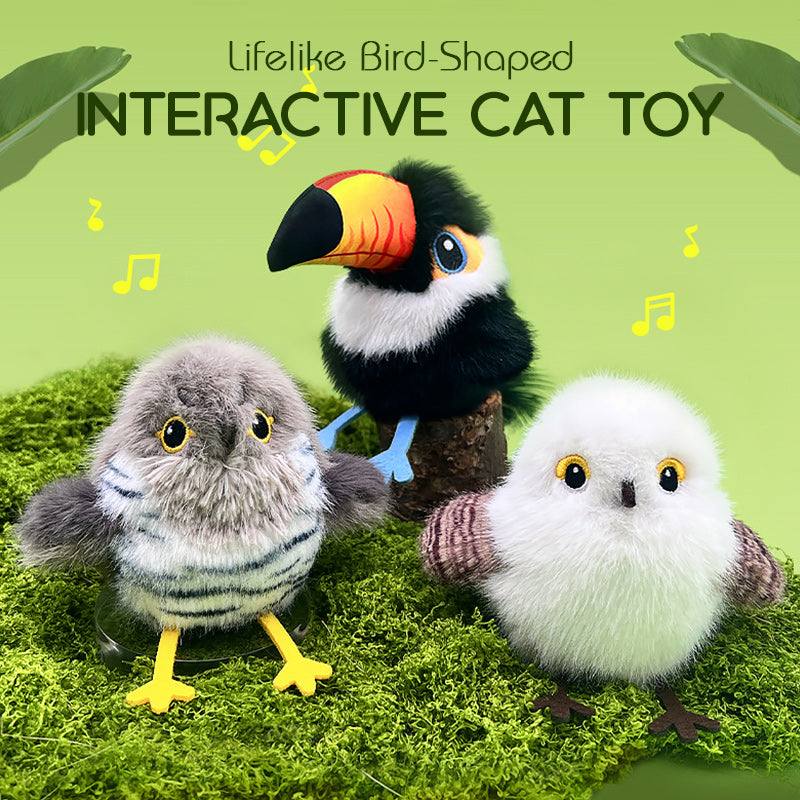 BowLift | Interactive Bird for Cats – With Chirping