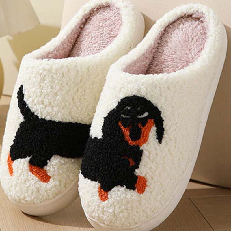 BowLift | PawSnooze – Cozy warmth and comfort that brings you joy