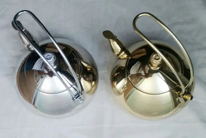 Stainless Steel Coffee Kettle Kitchen Gas Tea Kettle Classy Kettle | Bowlift