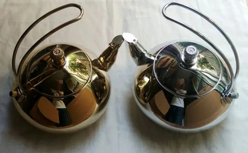 Stainless Steel Coffee Kettle Kitchen Gas Tea Kettle Classy Kettle | Bowlift