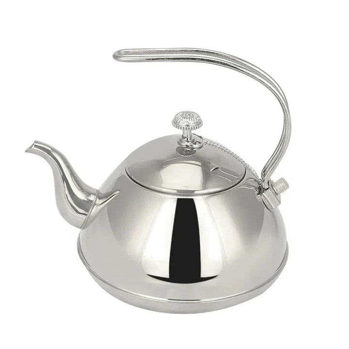 Stainless Steel Coffee Kettle Kitchen Gas Tea Kettle Classy Kettle | Bowlift