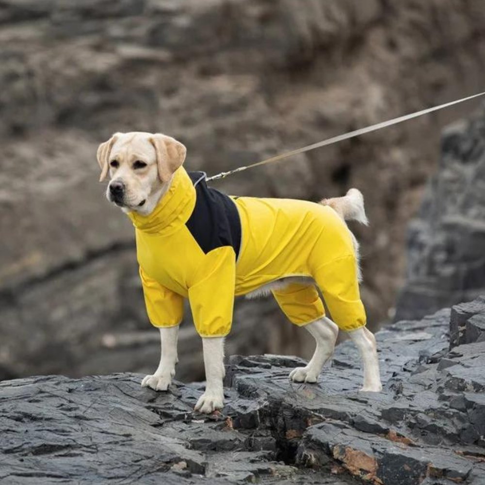 StormGuard • Dog Waterproof Raincoat - Dog Waterproof Raincoat - BowLift