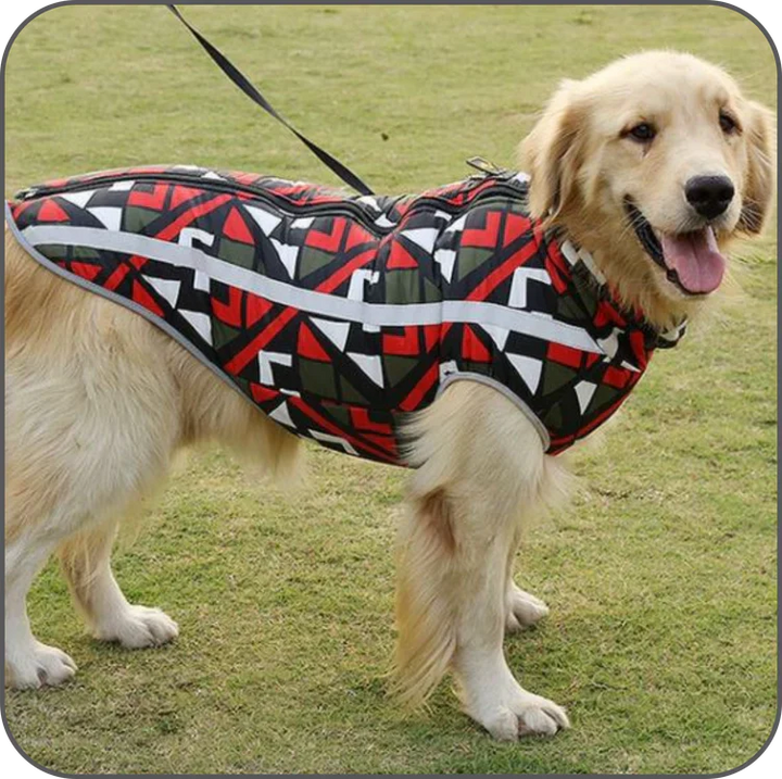 StormGuard Waterproof Winter Dog Coat Bowlift