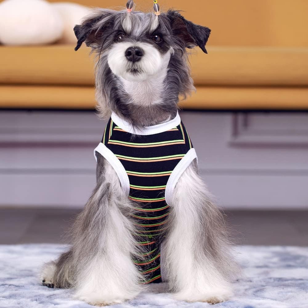 StripeGuard • Dog Recovery Suit for Post - Surgery Care - Dog Recovery Suit - BowLift