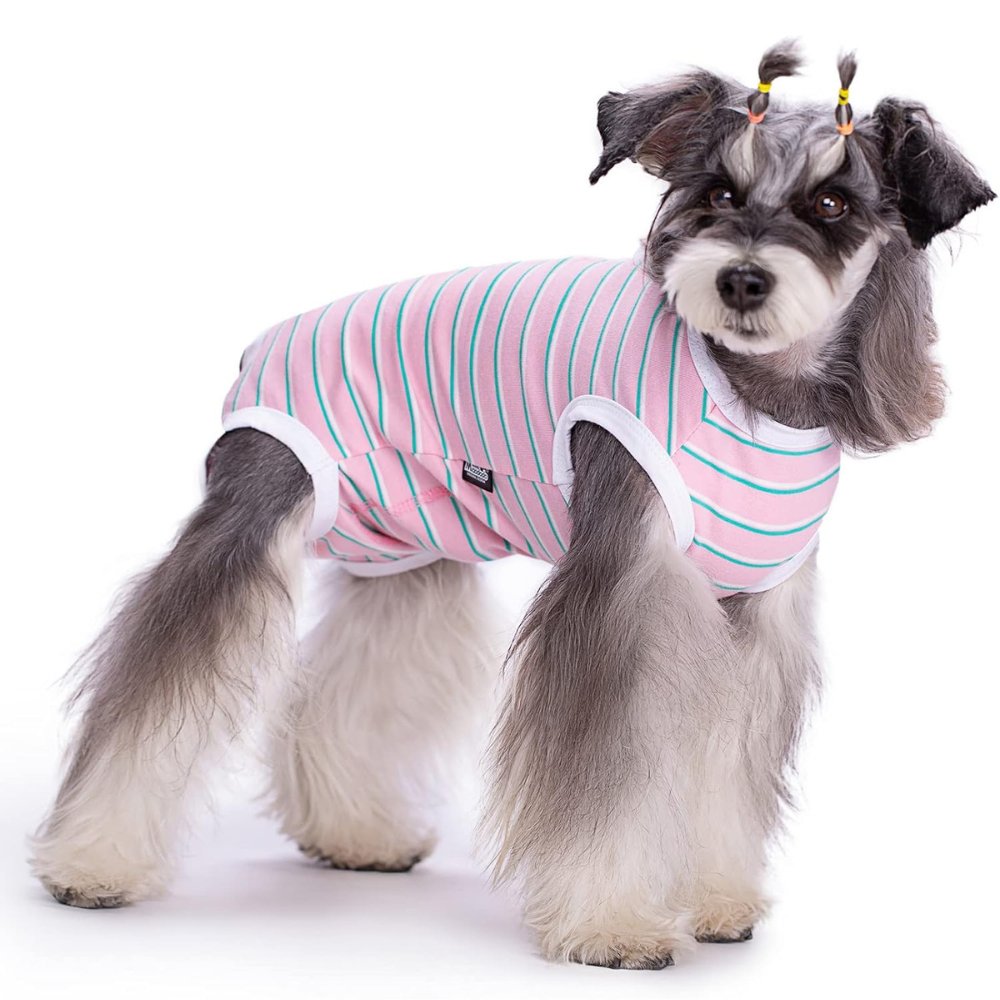 StripeGuard • Dog Recovery Suit for Post - Surgery Care - Dog Recovery Suit - BowLift