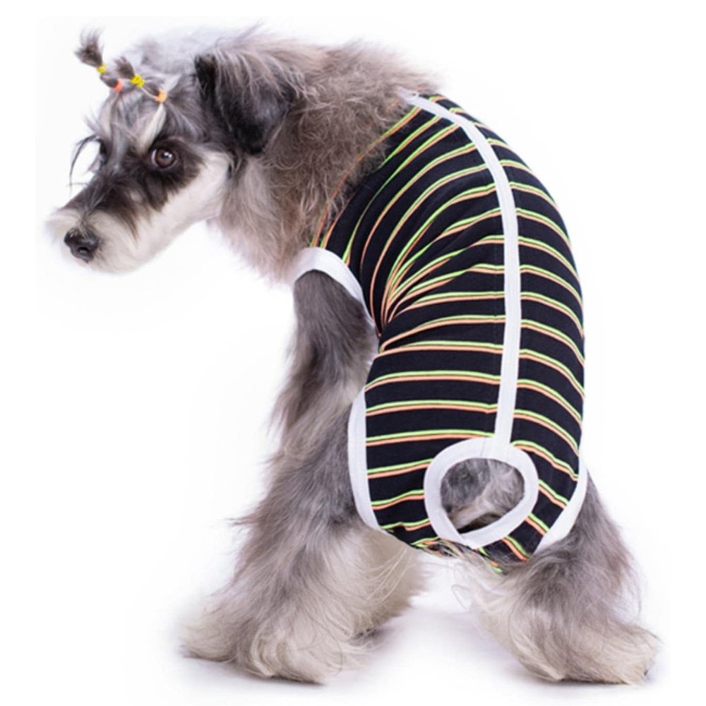 StripeGuard • Dog Recovery Suit for Post - Surgery Care - Dog Recovery Suit - BowLift