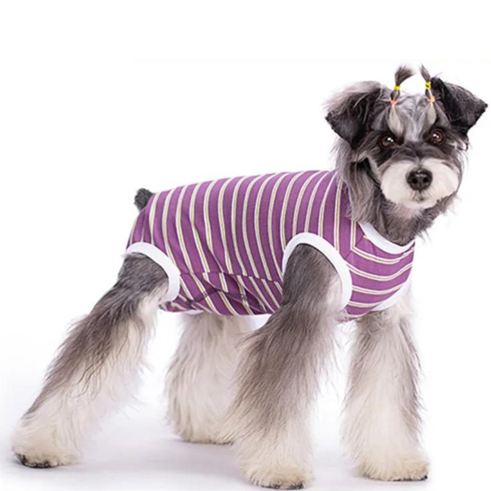 StripeGuard • Dog Recovery Suit for Post - Surgery Care - Dog Recovery Suit - BowLift