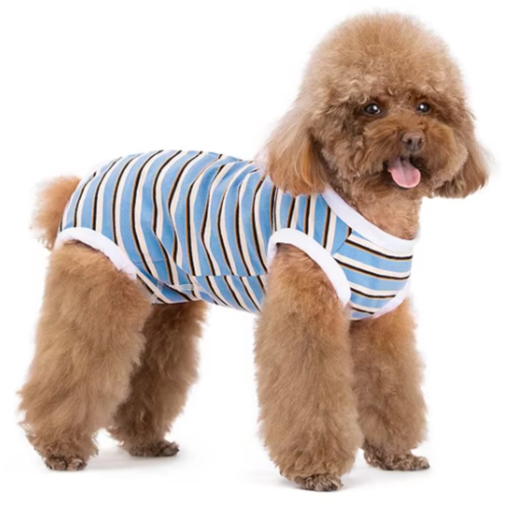 StripeGuard • Dog Recovery Suit for Post - Surgery Care - Dog Recovery Suit - BowLift