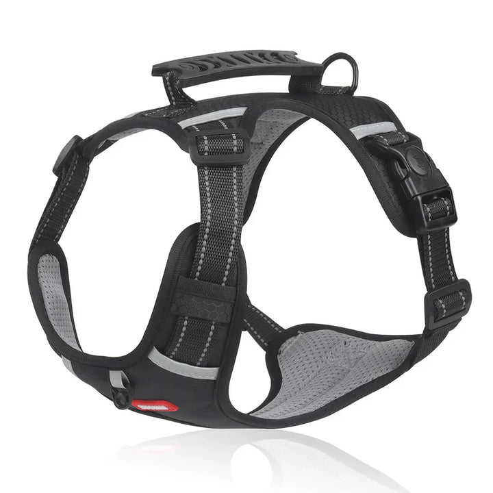 Sturdy & Comfortable Dog Harness - ActivePup™ Bowlift