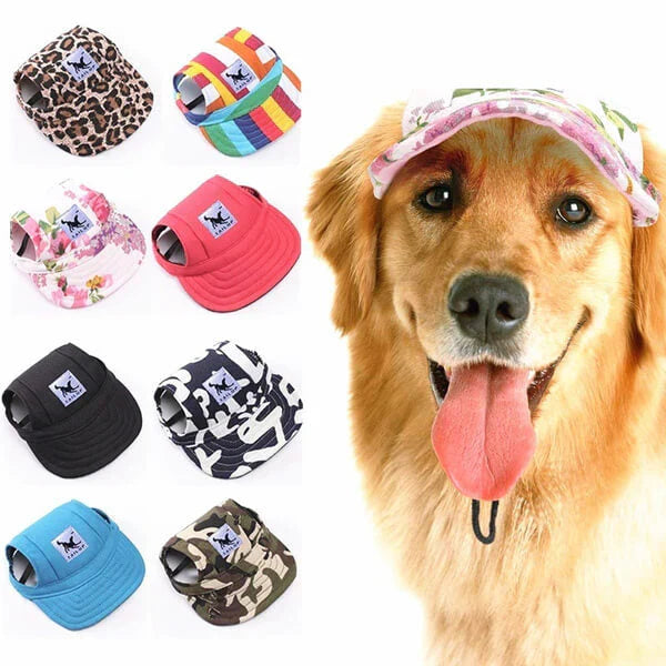 Stylish Round Brim Dog Hat - SunnyPaws Bowlift