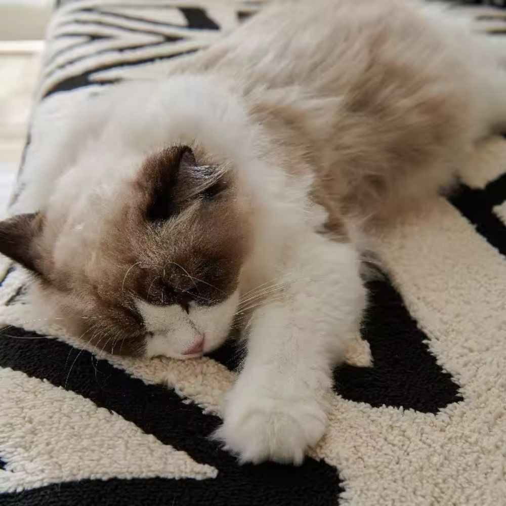 BowLift | Modern Geometric Sofa Cover Cotton Blend