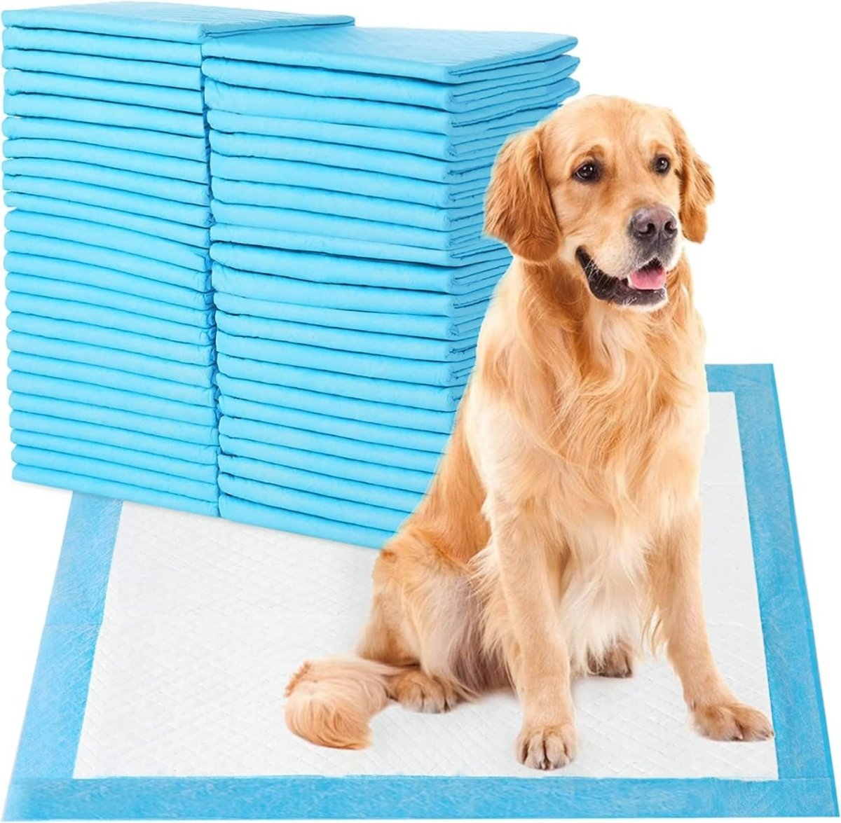 Super Absorbent • Dog Training Pee Pads - Dog Pee Pads - BowLift