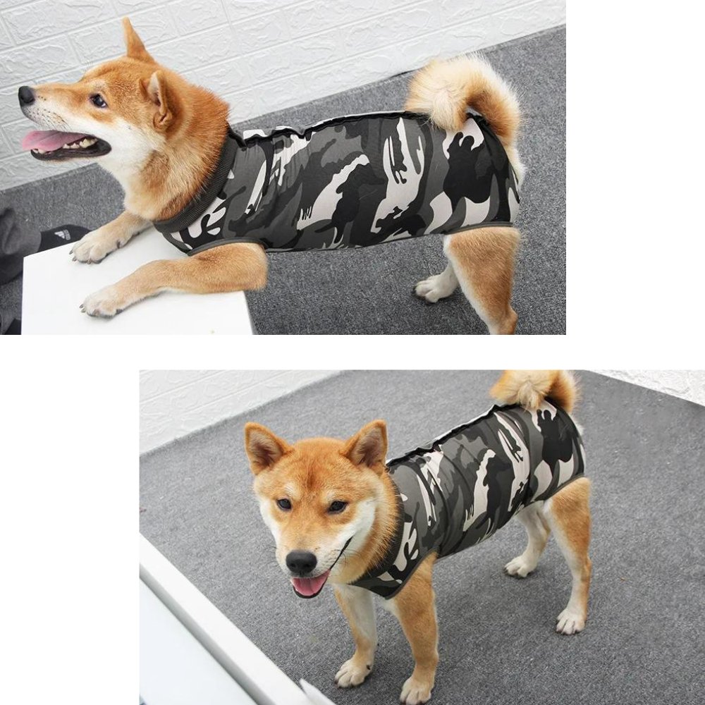 SurgiGuard • Anti - Licking Dog Recovery Suit - Dog Recovery Suit - BowLift