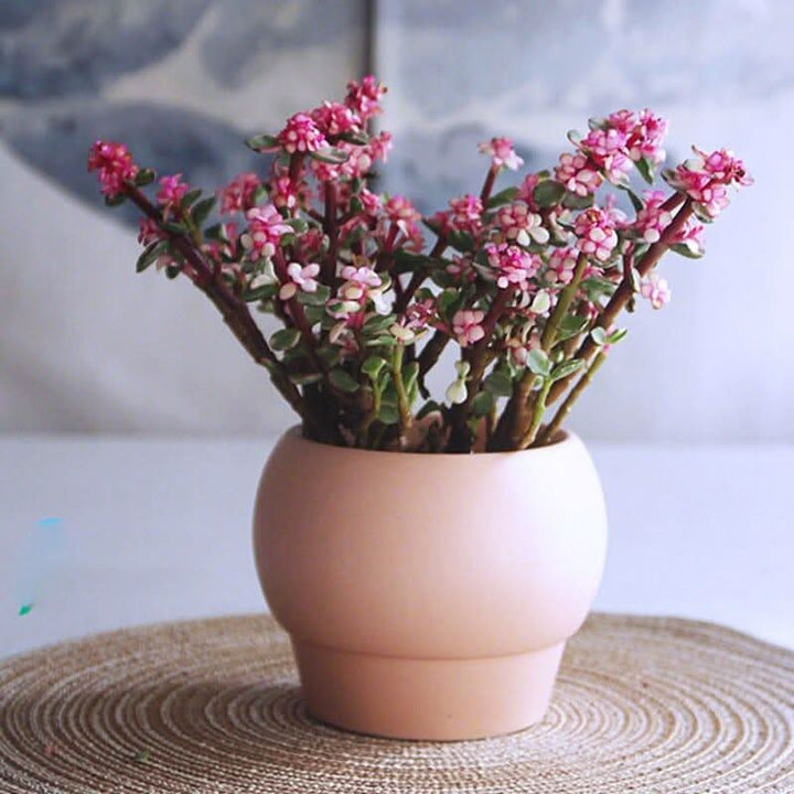 BowLift | SYLENA – Elegant ceramic vase for timeless design