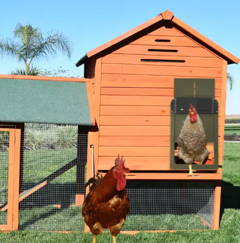BowLift | Automatic Chicken Coop Door Opener with Timer and Light Sensor