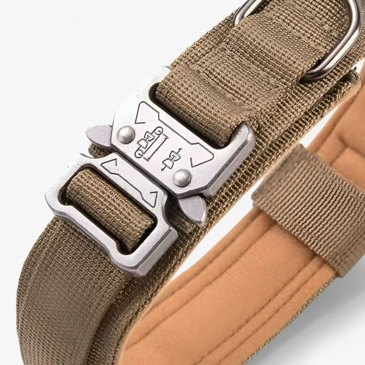 BowLift | Adjustable Dog Collar Set for Adventures and Daily Training