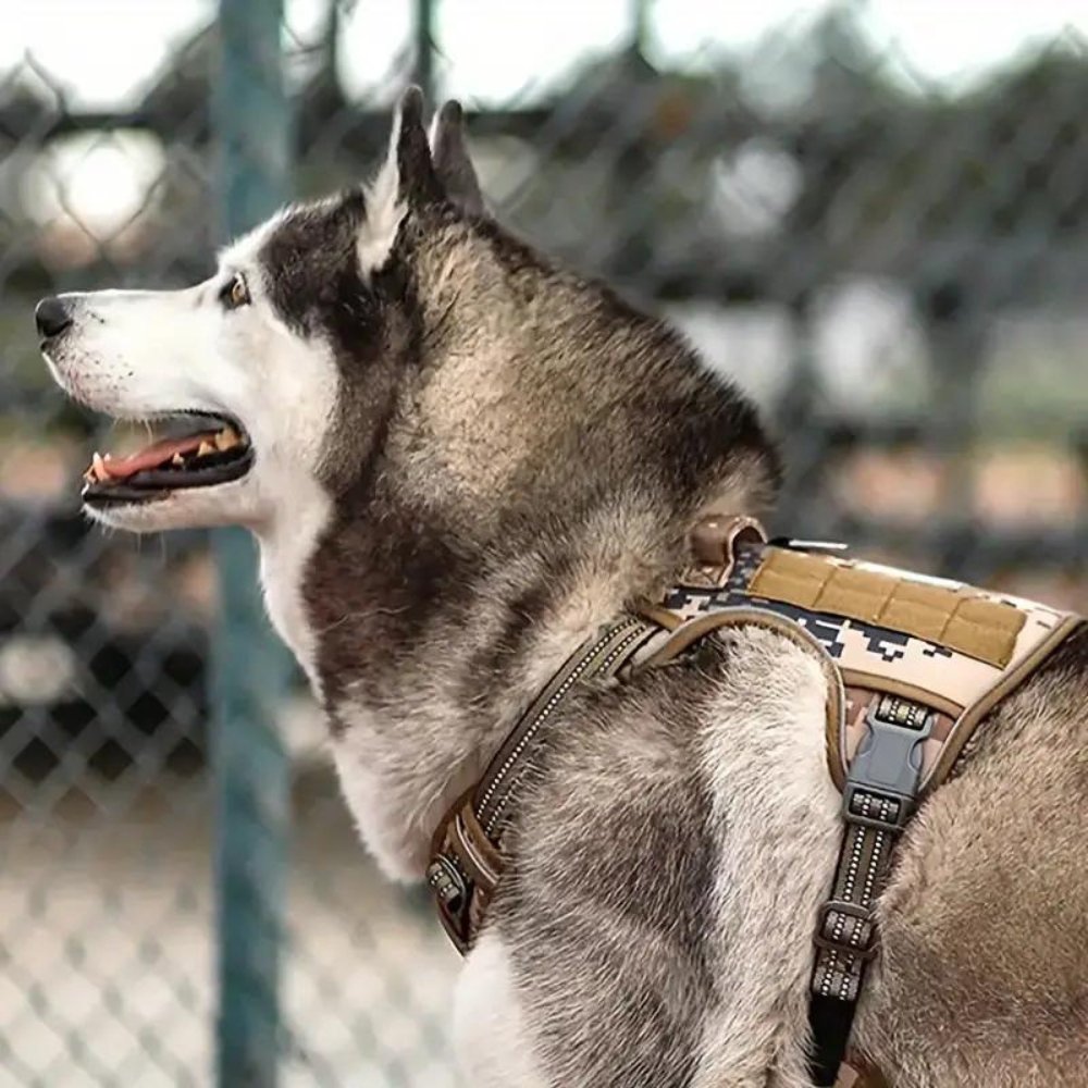 TacticalVest • No Pull Dog Harness - No Pull Dog Harness - BowLift