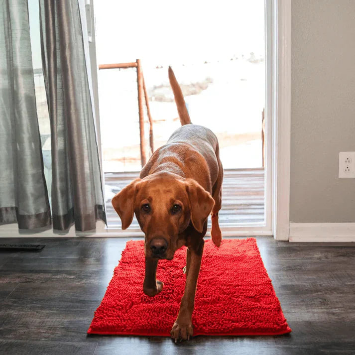 BowLift | Super Absorbent Dog Mat – PawMat