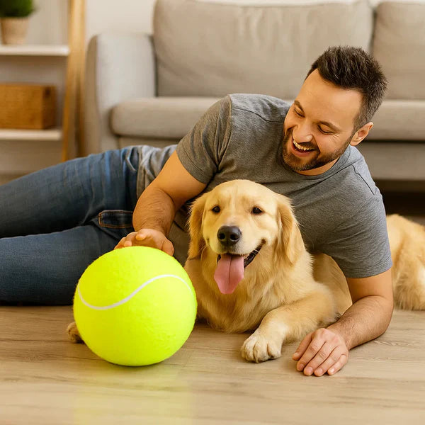 Extra large tennis ball for dogs Bowlift