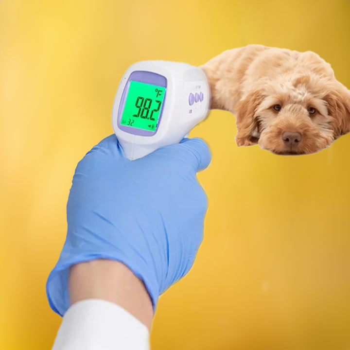 BowLift | No-Contact Dog Thermometer with One Click Reading