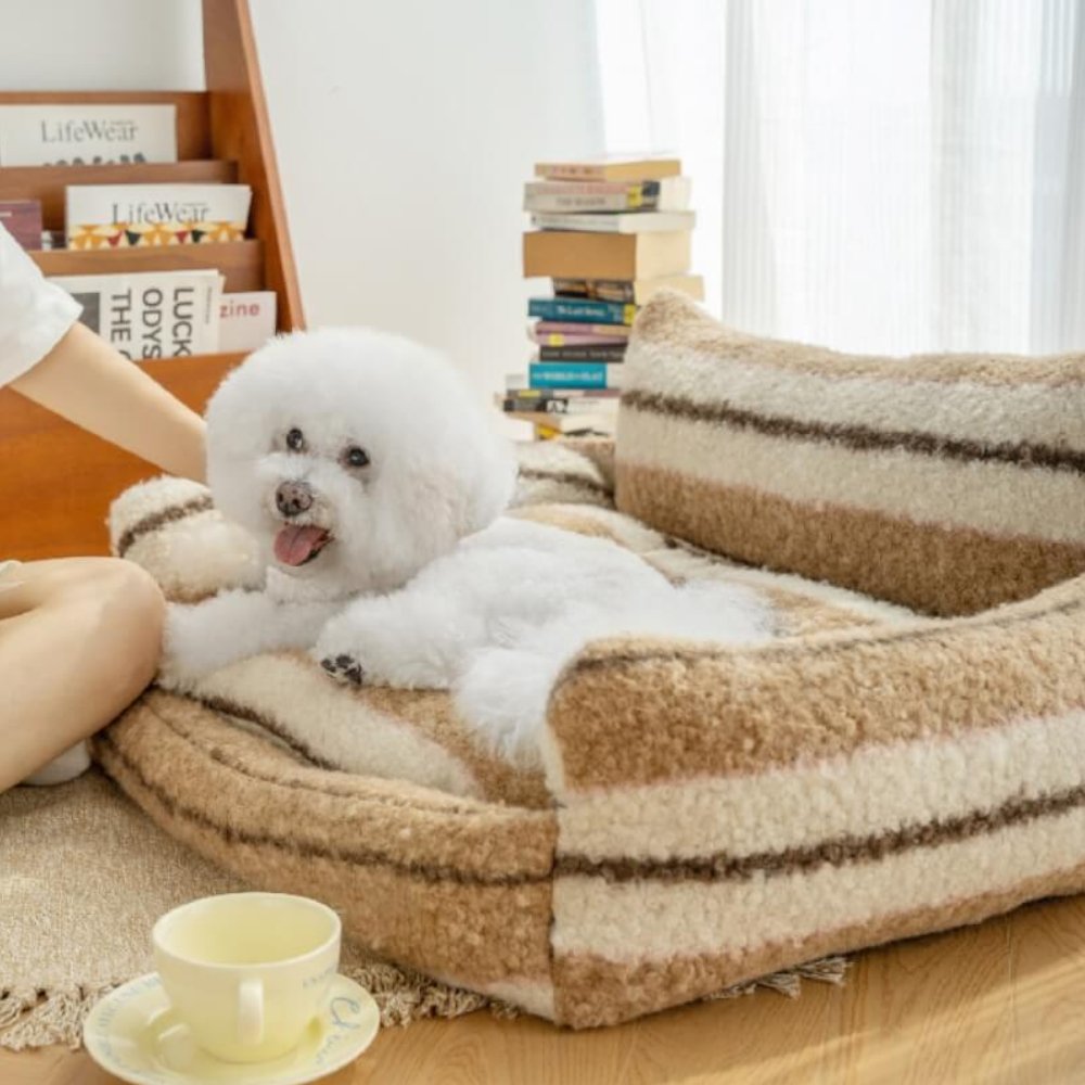 TranquilHaven• Calming Dog Sofa - Dog Bed - BowLift