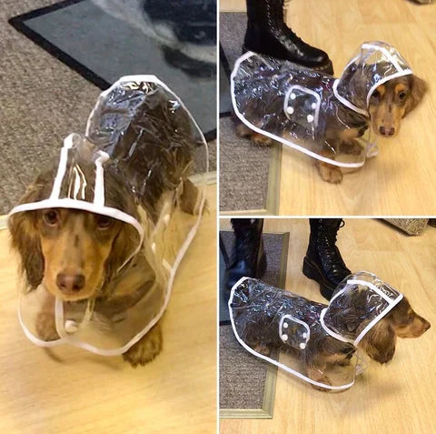 Transparent Waterproof Raincoat for Dogs - DryPaw Bowlift