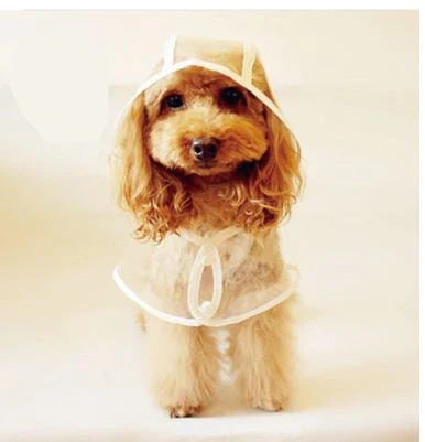 Transparent Waterproof Raincoat for Dogs - DryPaw Bowlift