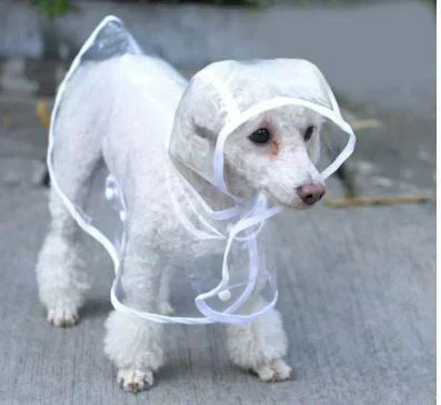 Transparent Waterproof Raincoat for Dogs - DryPaw Bowlift