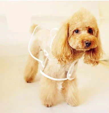 Transparent Waterproof Raincoat for Dogs - DryPaw Bowlift
