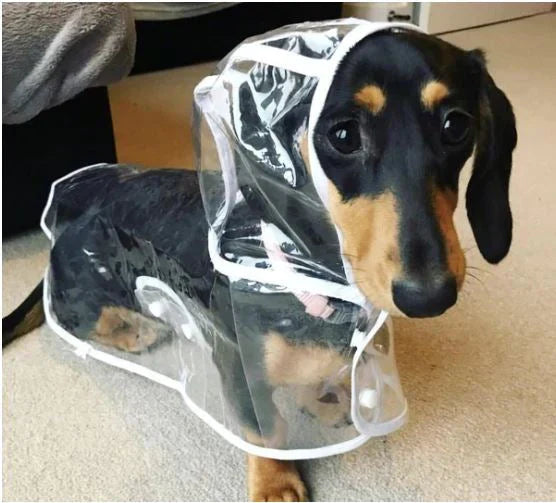 Transparent Waterproof Raincoat for Dogs - DryPaw Bowlift