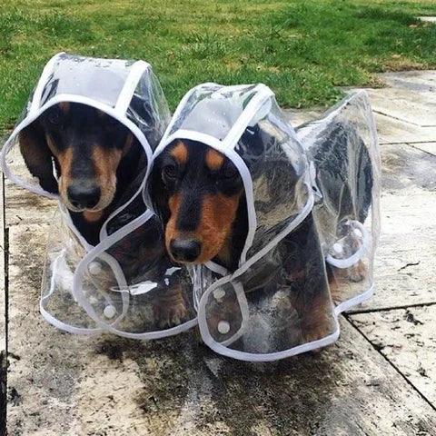 Transparent Waterproof Raincoat for Dogs - DryPaw Bowlift