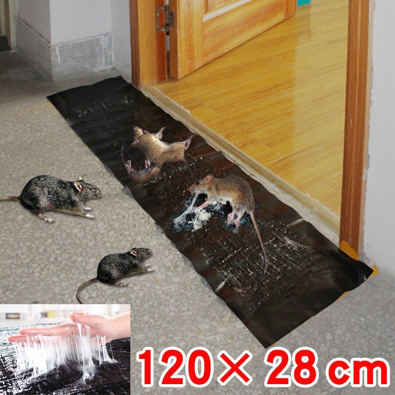 BowLift | TRAPZONE MAX – Large Non-Toxic Sticky Trap for Effective Pest Control
