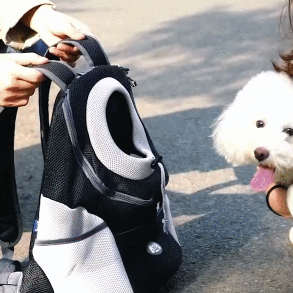 BowLift | PawCarry – Together everywhere on the go