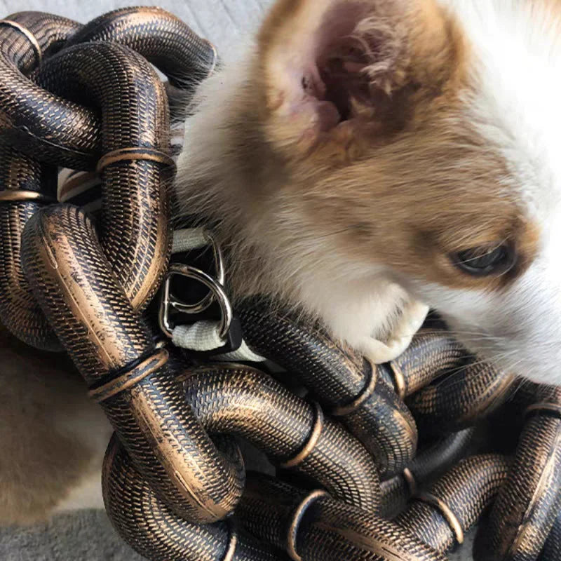 Trendy and Fun Dog Leash - PawChic Bowlift