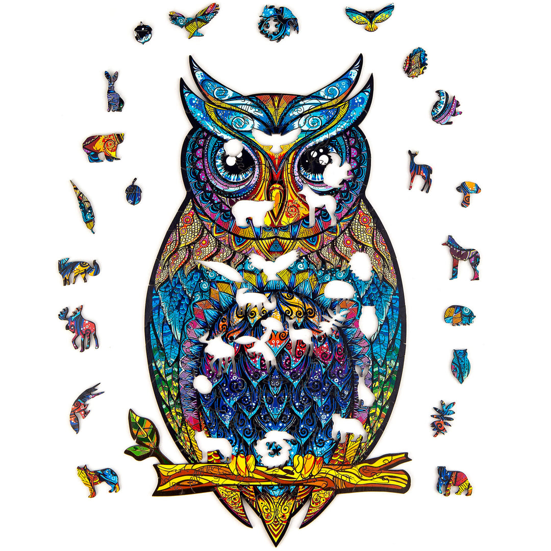 The graceful owl Bowlift