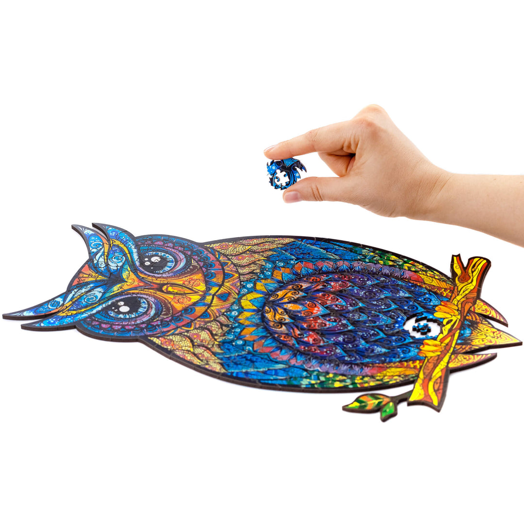 The graceful owl Bowlift