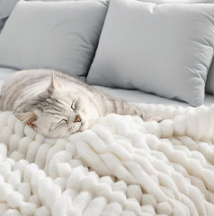 BowLift | TwinFleece | The Original Fleece Blanket Buy One, Get One Free