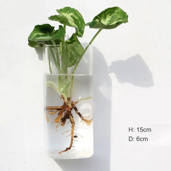 BowLift | Wall vase made of glass